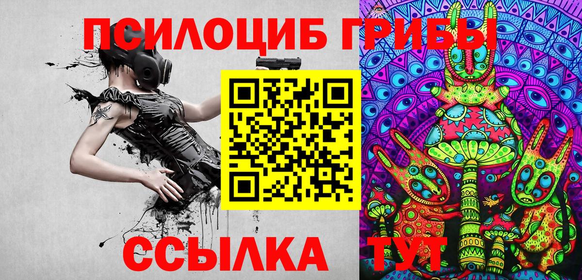 Псилоцибиновые грибы Psilocybine cubensis Донецк