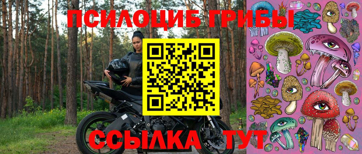 Псилоцибиновые грибы мухоморы  Галлюциногенные грибы Psilocybe  где купить наркоту  Донецк  Вход с VPN 