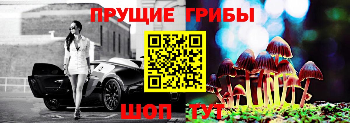 Псилоцибиновые грибы Cubensis  наркотики  Донецк 