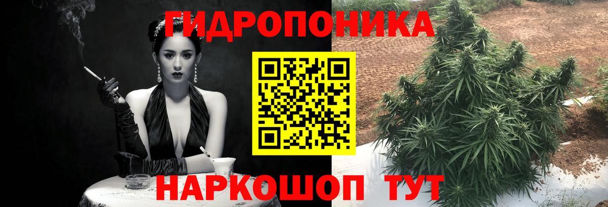 Донецк  Бошки Шишки план  Марихуана семена  Бошки Шишки конопля  Канабис Bruce Banner  Вход с VPN 
